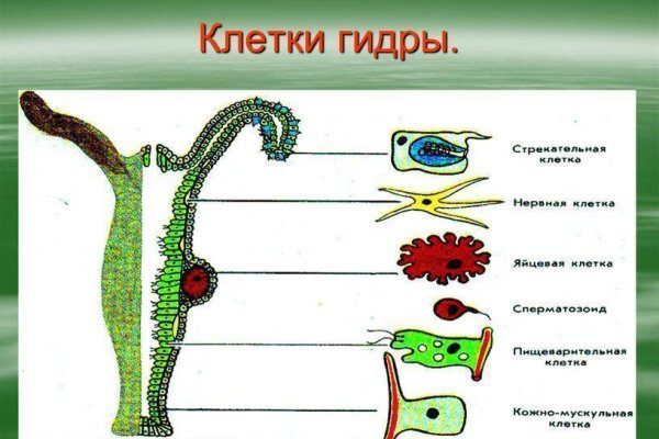 Кракен сайт даркнет зеркало