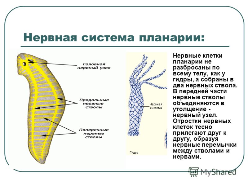 Кракен как попасть