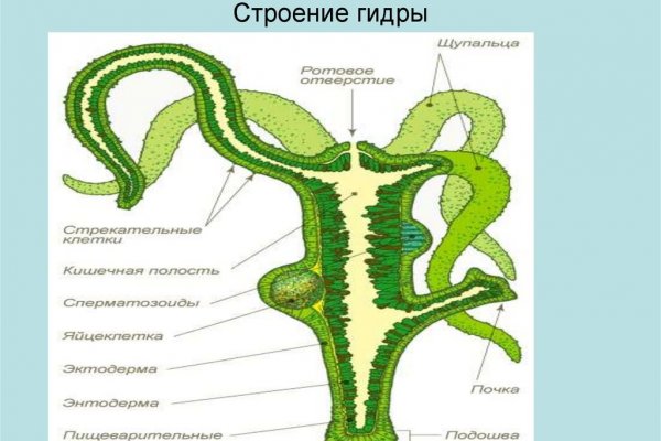 Кракен маркетплейс актуальные ссылки